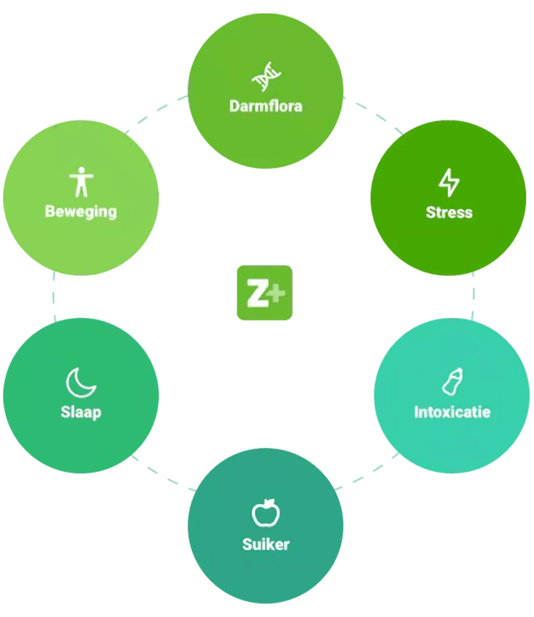 Jouw leefstijl als krachtig medicijn voor een energiek leven.